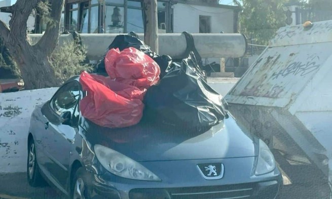 Не паркуйся у мусорных баков