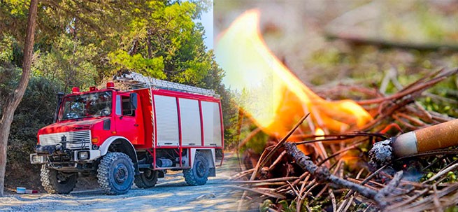 Видеодокумент: кто виновник пожара на Эвии