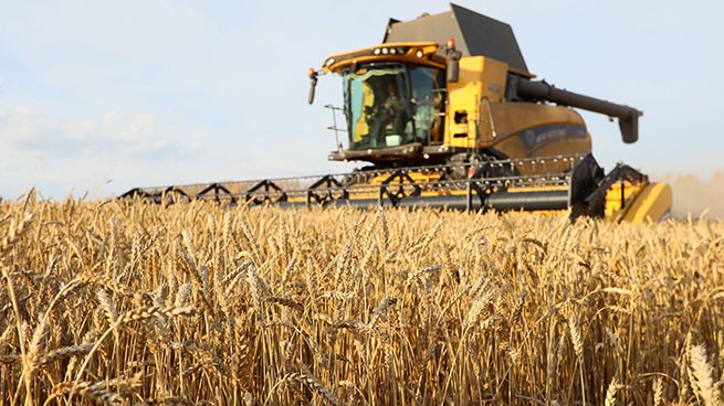 Россия прекращает экспорт зерна в Евросоюз после введения пошлин