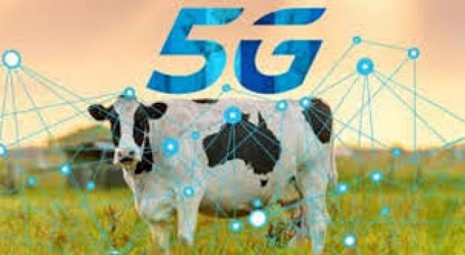 Сеть 5G поднимет сельское хозяйство Греции