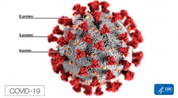 Вопросы и ответы по коронавирусу SARS - CoV-2 (COVID-19)