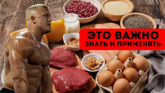 Насколько необходим белок для рациона