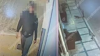 В Волосе ищут «серийного убийцу» бездомных кошек и собак