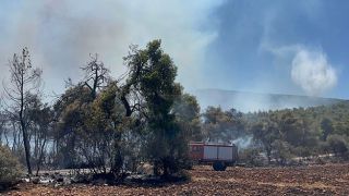 Пожар в Софико Коринфия – двое пожарных получили ранения