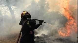 На острове Серифос бесконтрольно бушует лесной пожар (видео)
